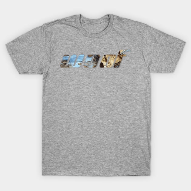 Woof T-Shirt by afternoontees